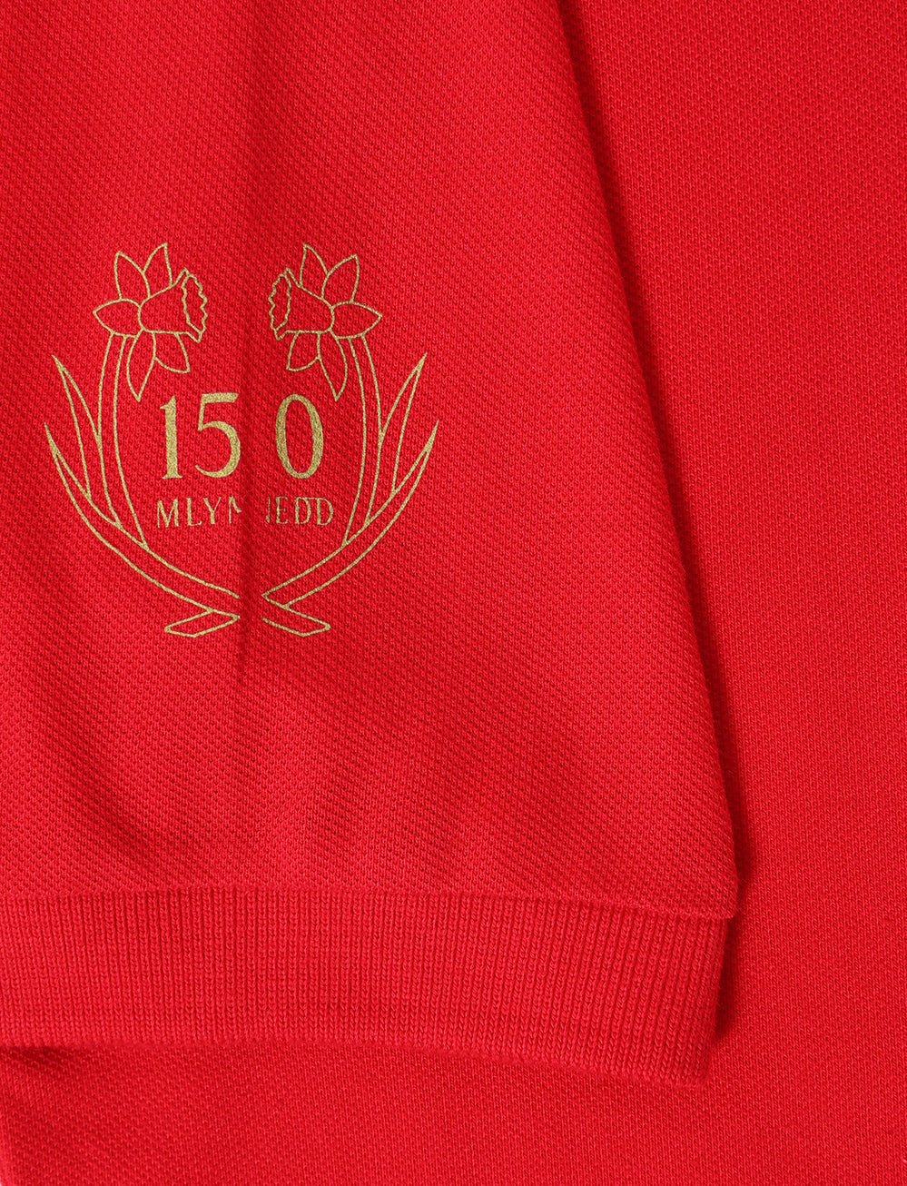 Official Team Wales 150th Anniversary Polo - Red - The World Football Store