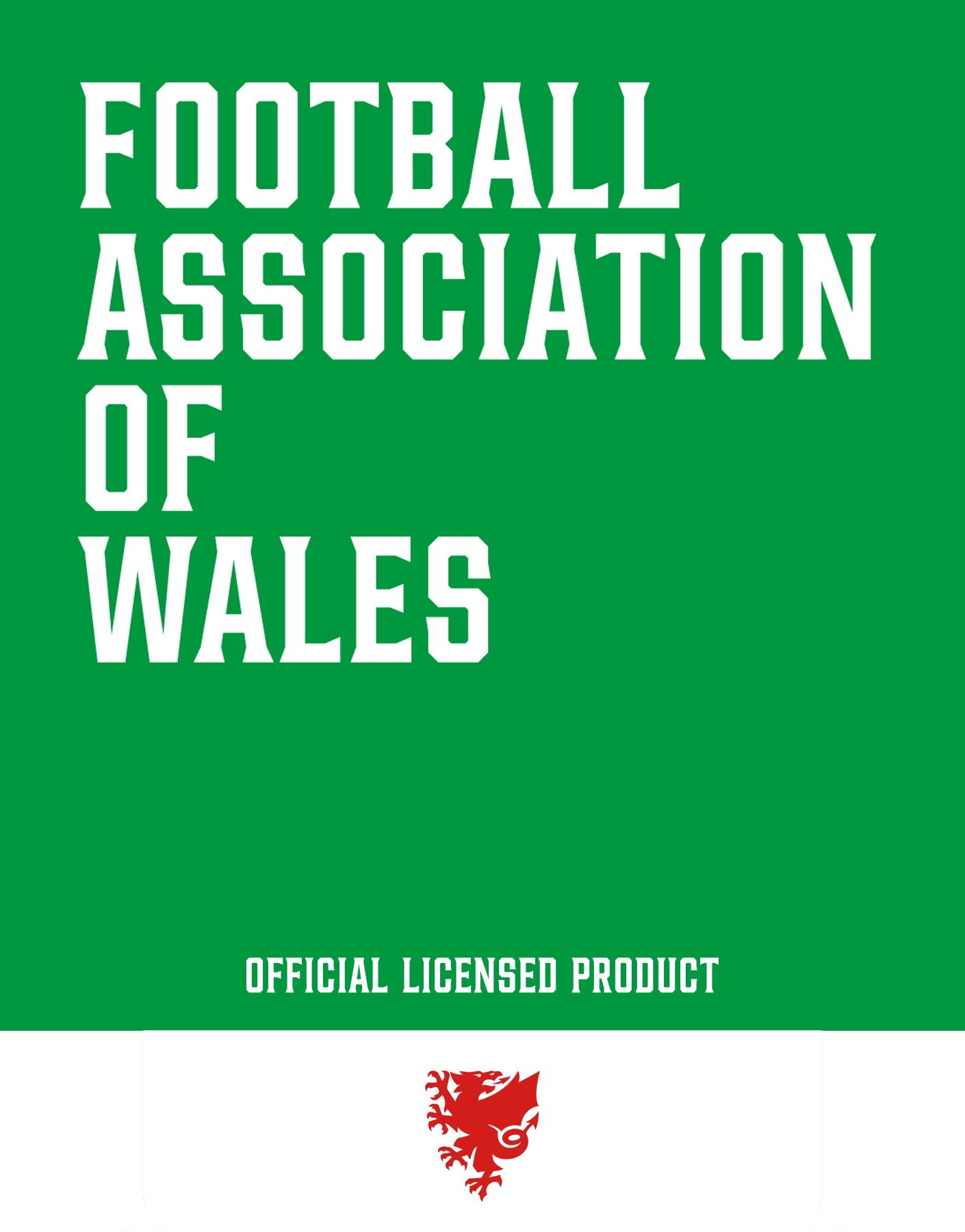 Official Team Wales Mountain T-Shirt - Red - The World Football Store